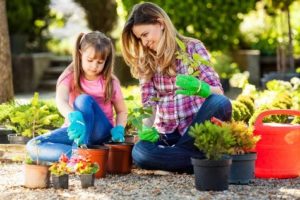 3SquaresVT food benefits can buy seeds and plants to grow fruit and vegetables