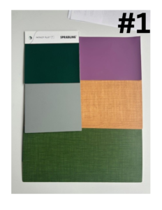 Bookmobile interior color selections